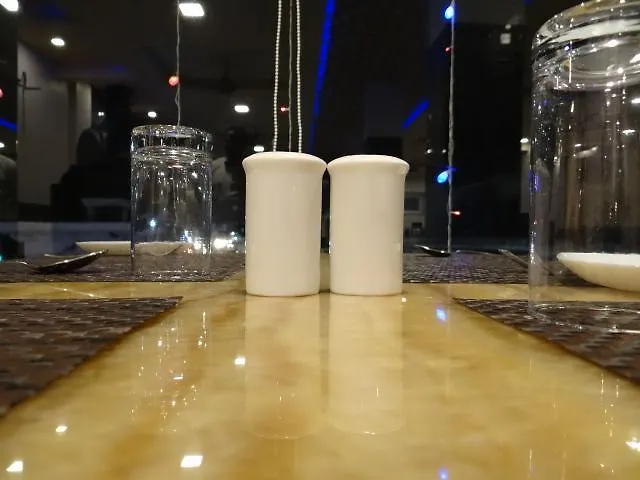 Hotel Kailash Inn Udajpur